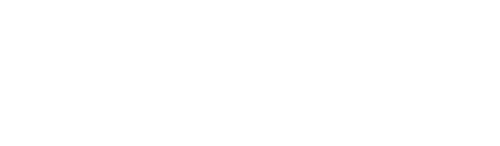 Insignia Ventures Partners